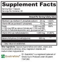 Load image into Gallery viewer, MethylX Factors - 60 Capsules