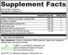 Load image into Gallery viewer, XYMOGEN, NeuroActives BrainSustain 240 Capsules

